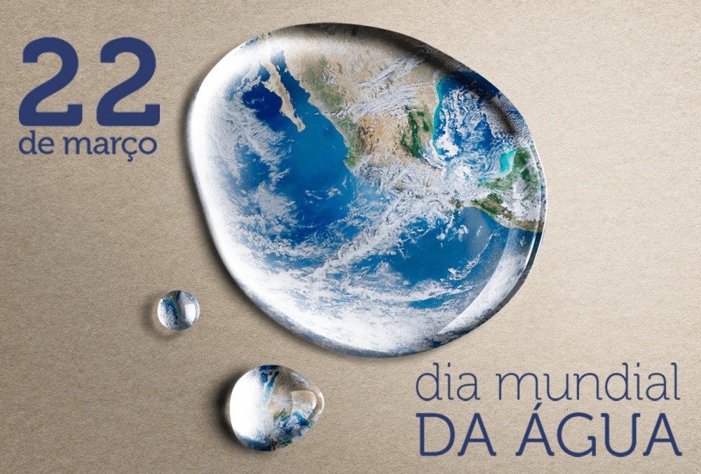 Alunos da Quarta Série visitam nascente recuperada, em comemoração ao Dia Mundial da Água.