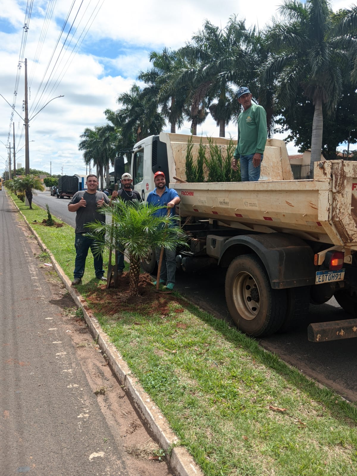 Prefeitura realiza replantio de mudas nas Avenidas da Saudade e Dr. Rodrigues Alves.