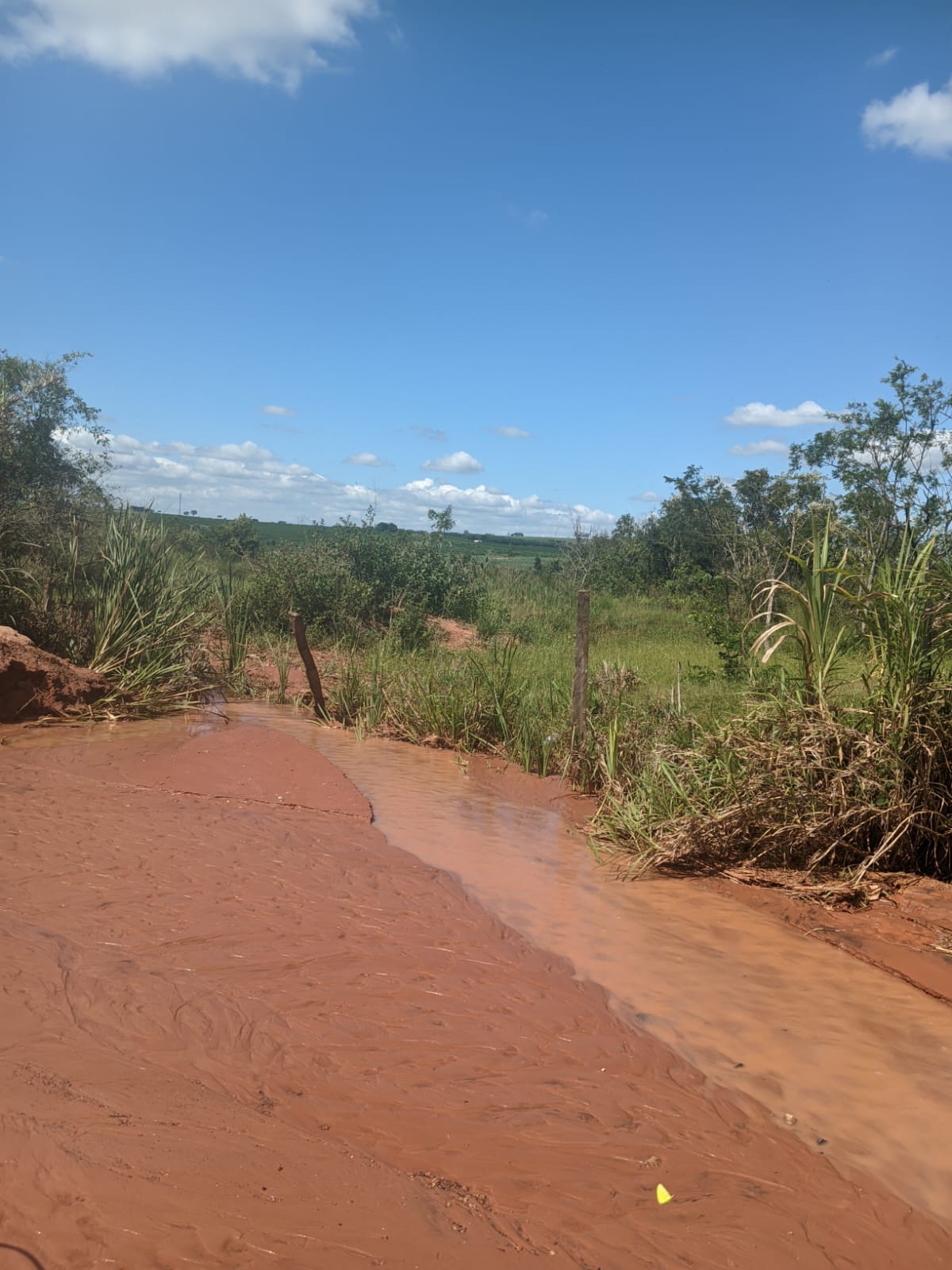 Prefeitura de Pirangi continua promovendo ações voltadas ao desassoreamento de córregos.
